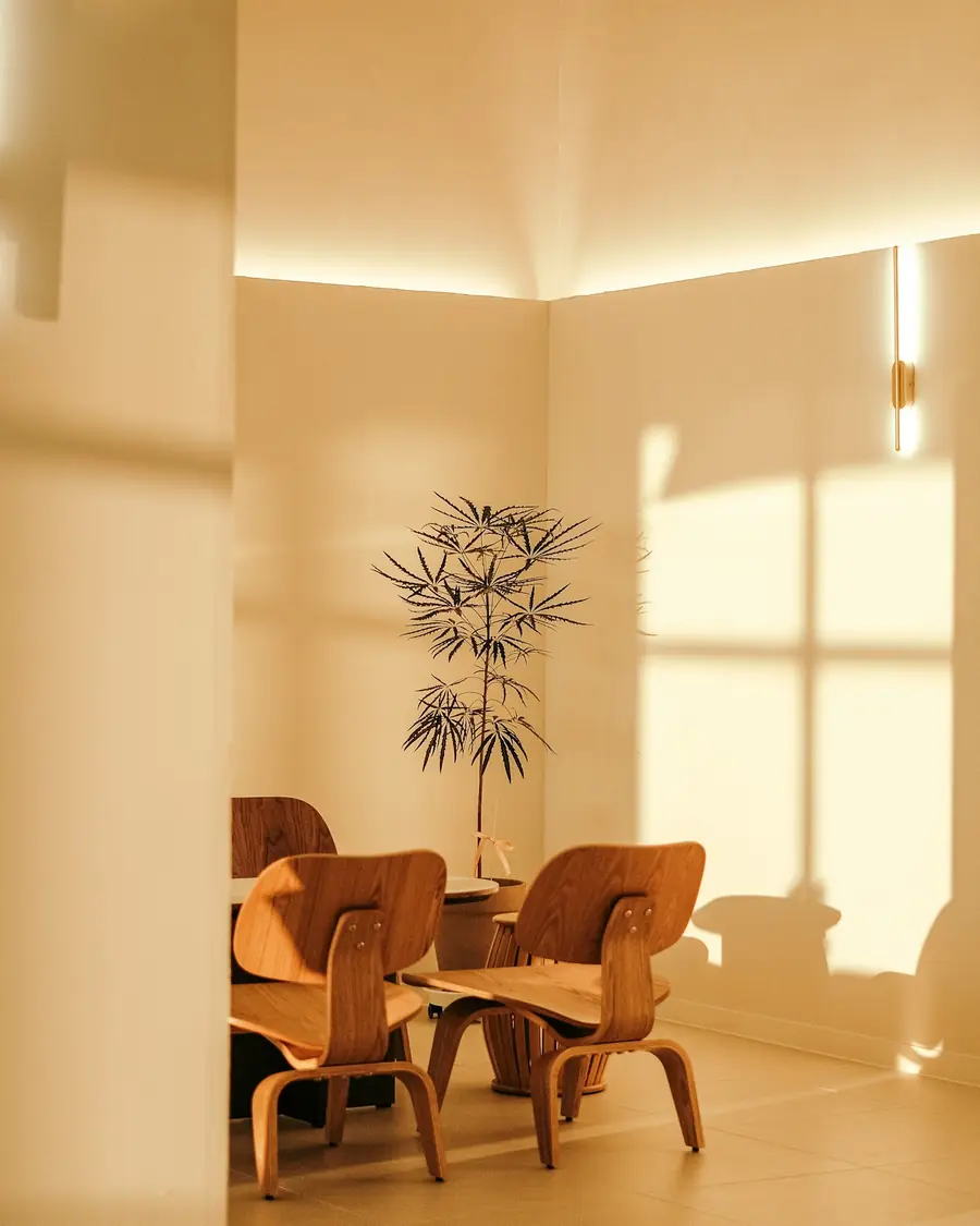 Comedor minimalista con sillas de madera bañado por luz natural cálida
